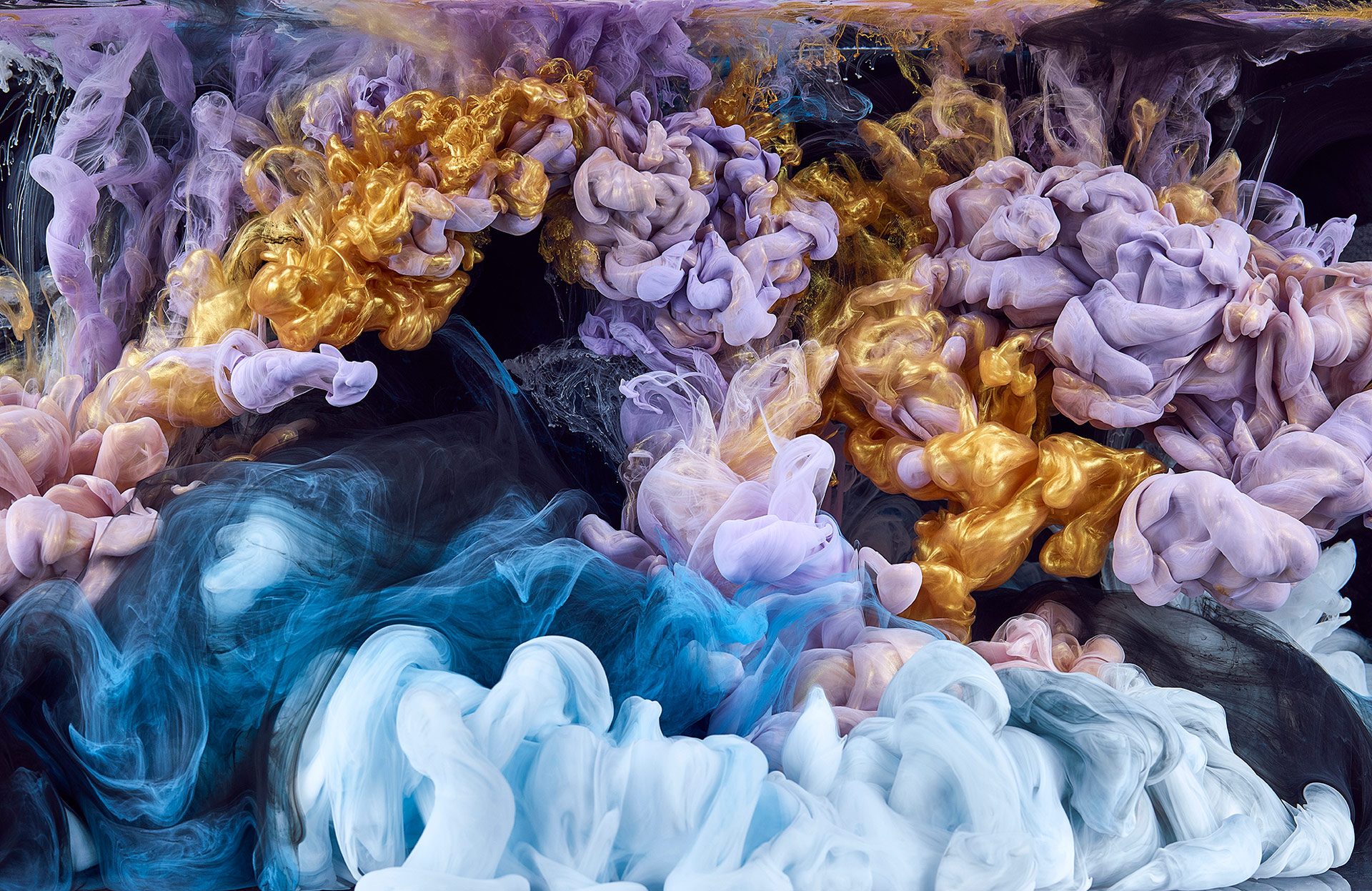 Plume_Feb201817412_clean